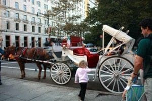 Carriage Ride in Central Park