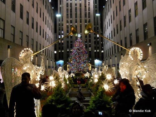 New York City Holiday Lights Tour