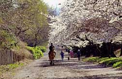 NYC One Day Itineraries
