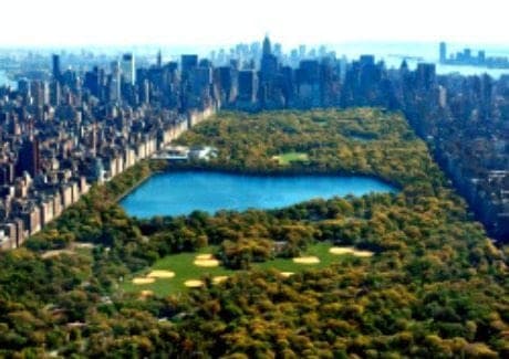 Central Park View Central Park View