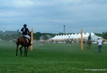 Polo Classic Veuve Clicquot NYC