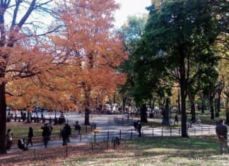 Things to do in New York in Fall