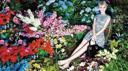 Alice + Olivia Sample Sale Alice + Olivia Sample Sale