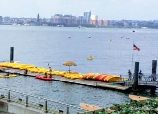 Free Things to Do in New York in Summer