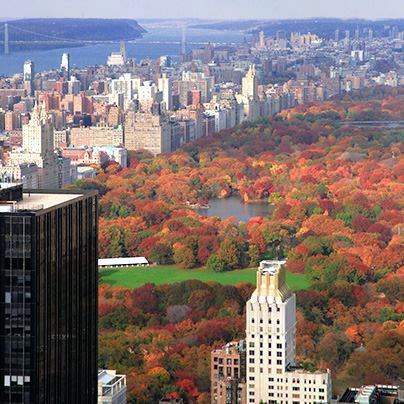 October Half Price Tickets NYC October Half Price Tickets NYC