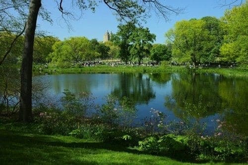 Fall Activities in New York City