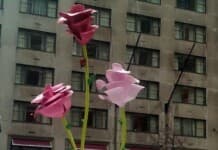 New York City Events February | Activities Calendar, Things to Do New York City Events February
