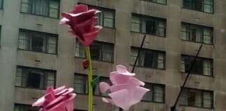 New York City Events February New York City Events February