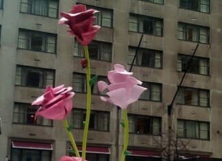 New York City Events February New York City Events February
