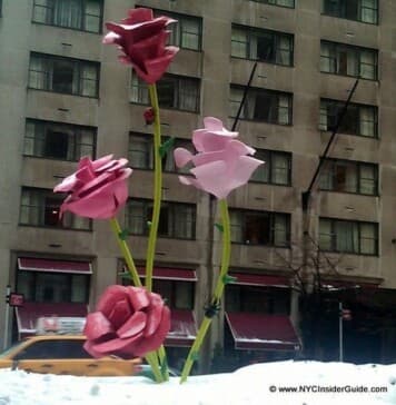 New York City Events February New York City Events February