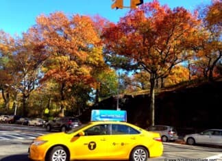 Things To Do in New York in November