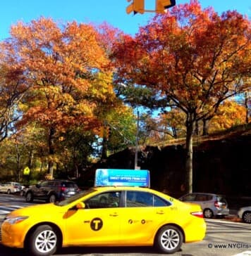 Things To Do in New York in November