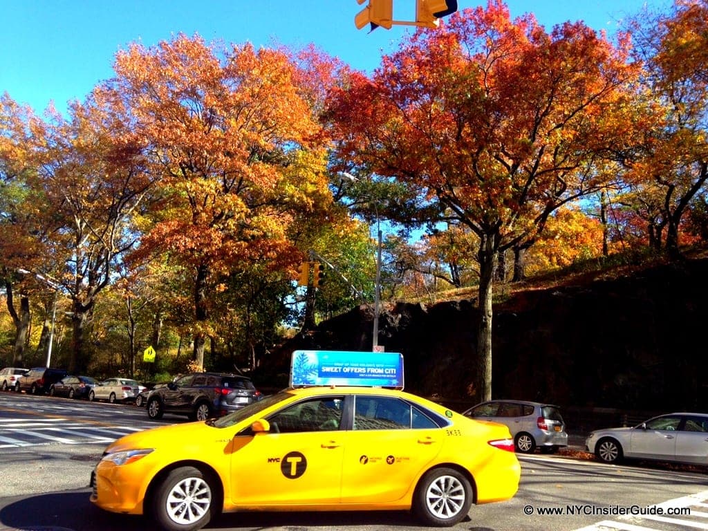 NYC Insider Guide November Events Calendar NYC Insider Guide November Events Calendar