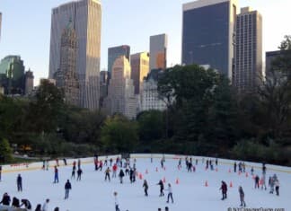 Things to do in New York in Winter Things to do in New York in Winter