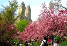 Best Things to do in New York in Spring | Outdoor NYC Activities Things to do in New York in Spring