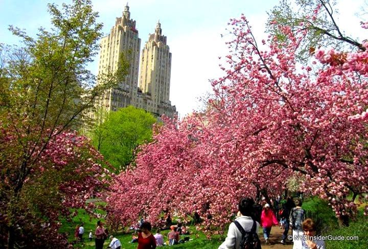 Things to do in New York in Spring Things to do in New York in Spring