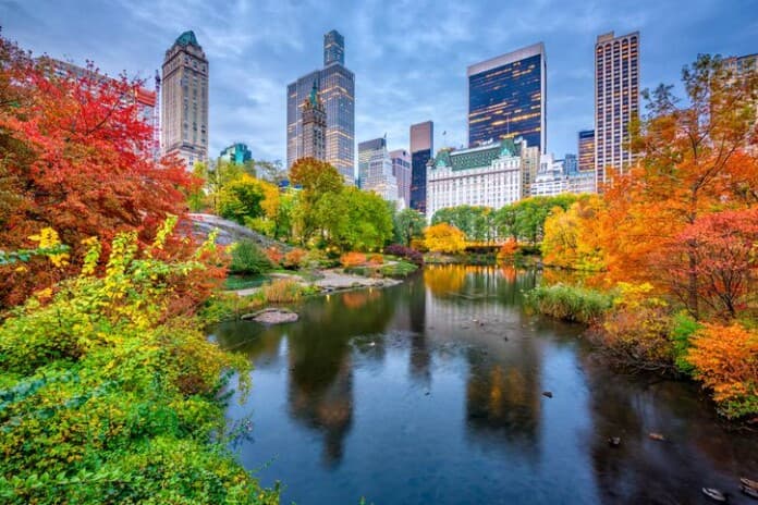 Best Time to Visit NYC