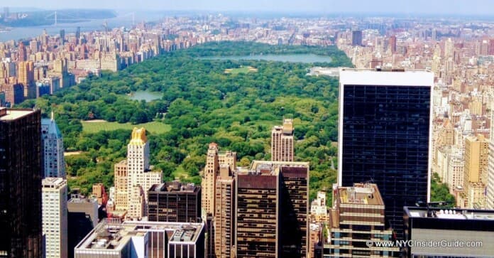New York City Events August