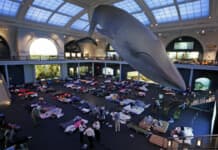 Museum Sleepovers NYC
