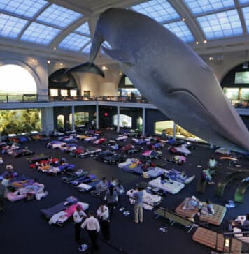 Museum Sleepovers NYC