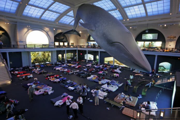 Museum Sleepovers NYC