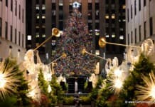 New York City Events December