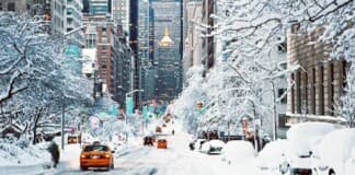 New York City Events January New York City Events January