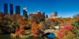 New York City Events November New York City Events November