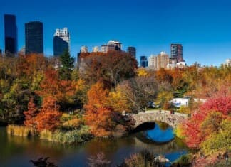 New York City Events November