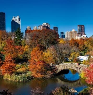 New York City Events November