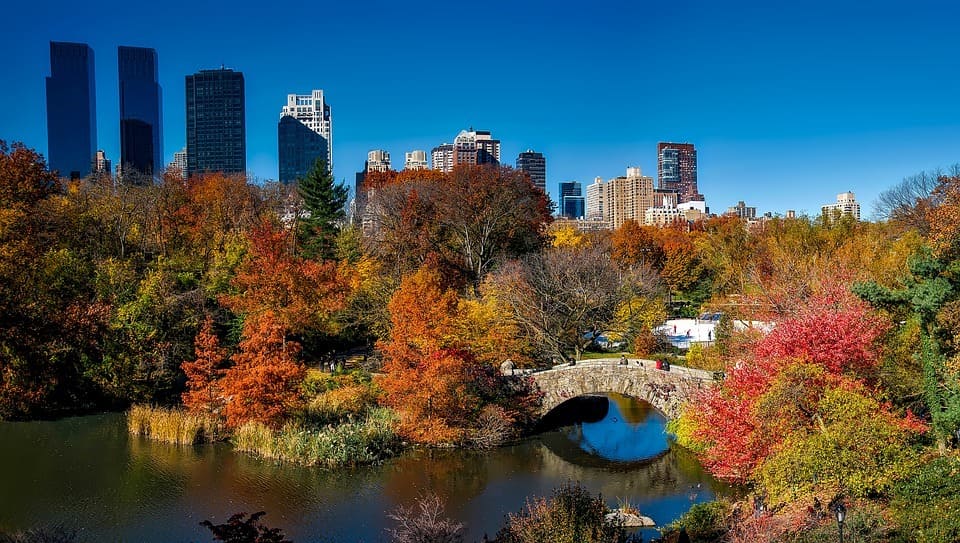 NYC November Events & Things to Do
