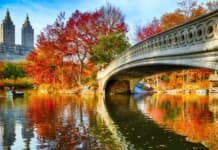 New York City Events October | Activities Calendar Things to Do New York City Events October