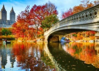 New York City Events October