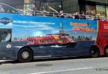 CitySights New York Bus Tour | Tips from a New Yorker Who Took a Guest New York City Bus Tours