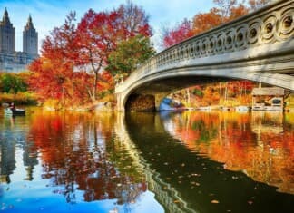 Central Park NY Central Park NY