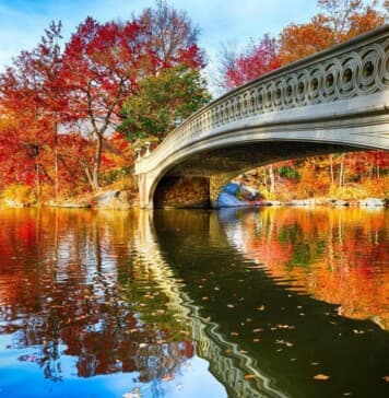 Central Park NY