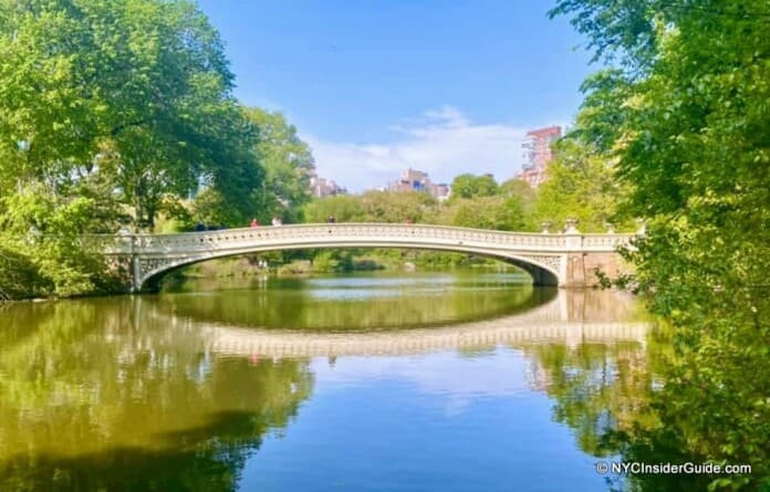 Central Park Walking Tours NYC
