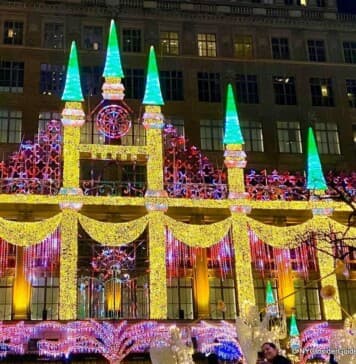 New York City Holiday Lights Tour