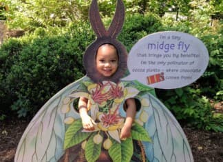 Things to Do in New York With Kids
