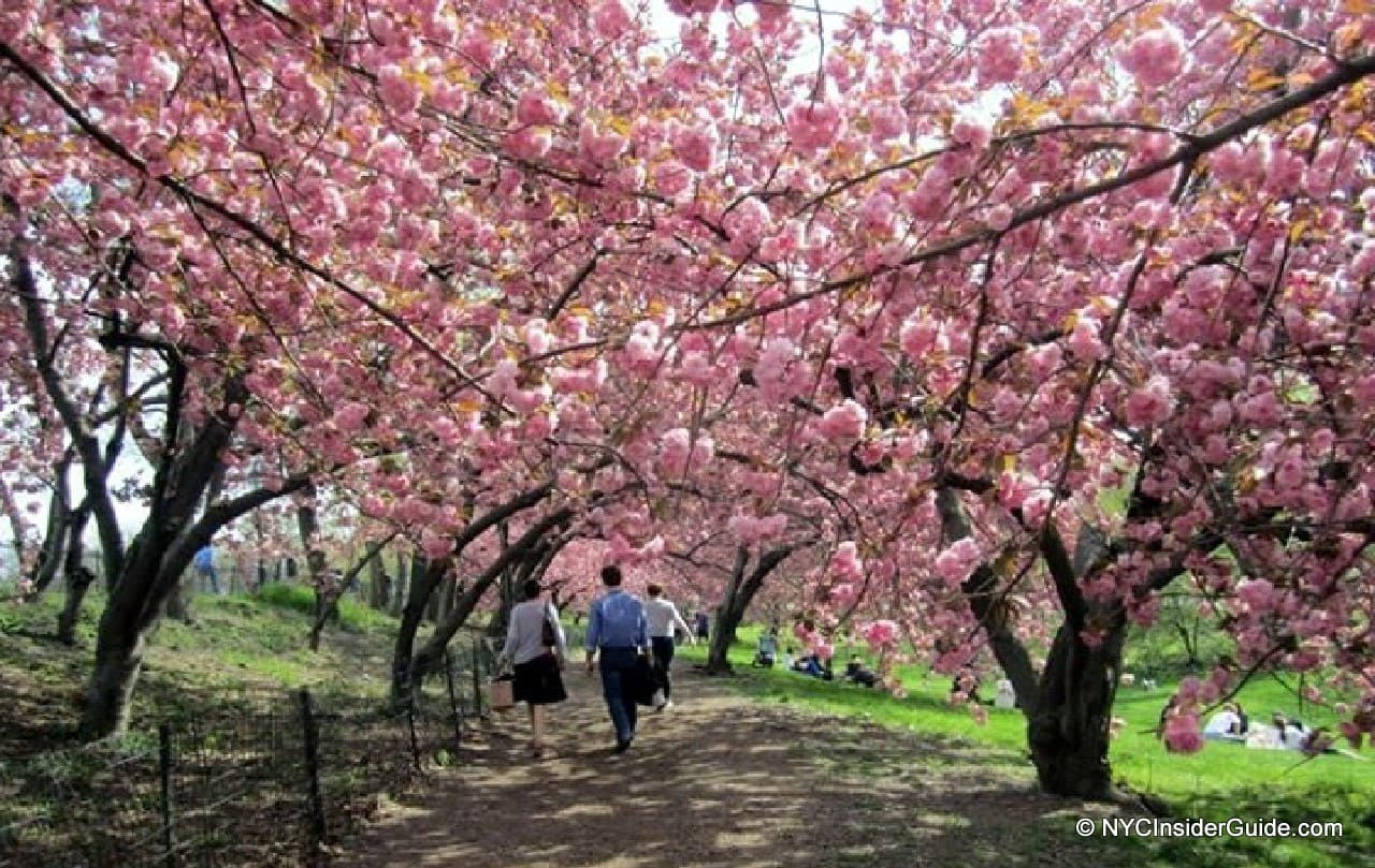 Things to do in New York in April Things to do in New York in April