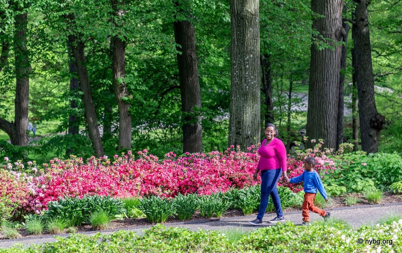Mothers Day at NYBG