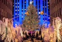 Rockefeller Center Christmas Tree
