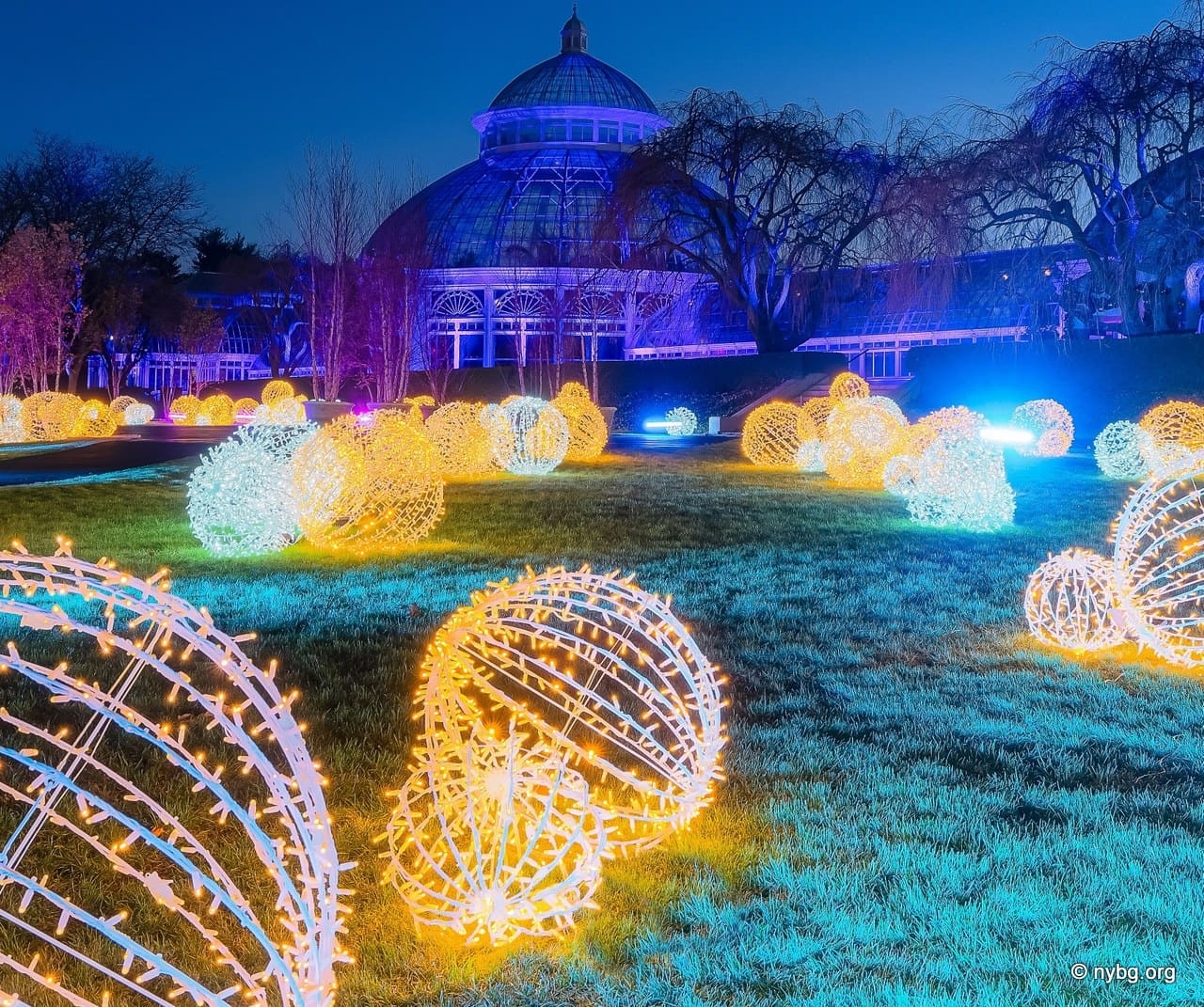 New York Botanical Garden GLOW New York Botanical Garden GLOW