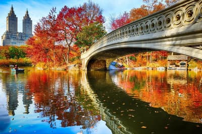 Central Park Guide